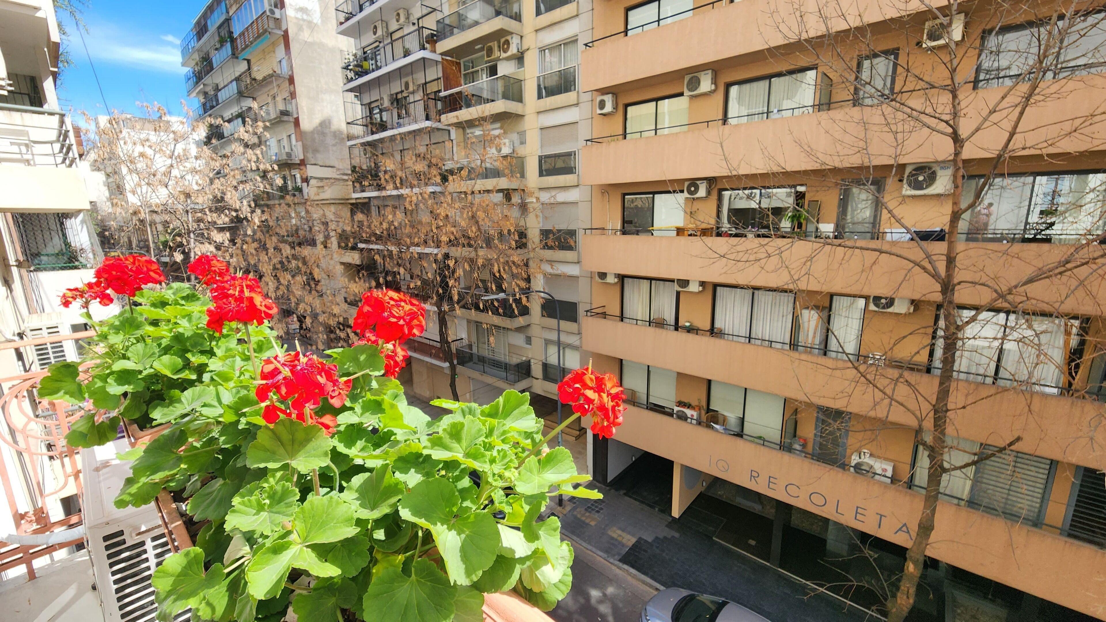 Casa Par Grand Suites — Photos 1